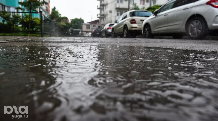  &copy;&nbsp;Фото Елены Синеок, Юга.ру