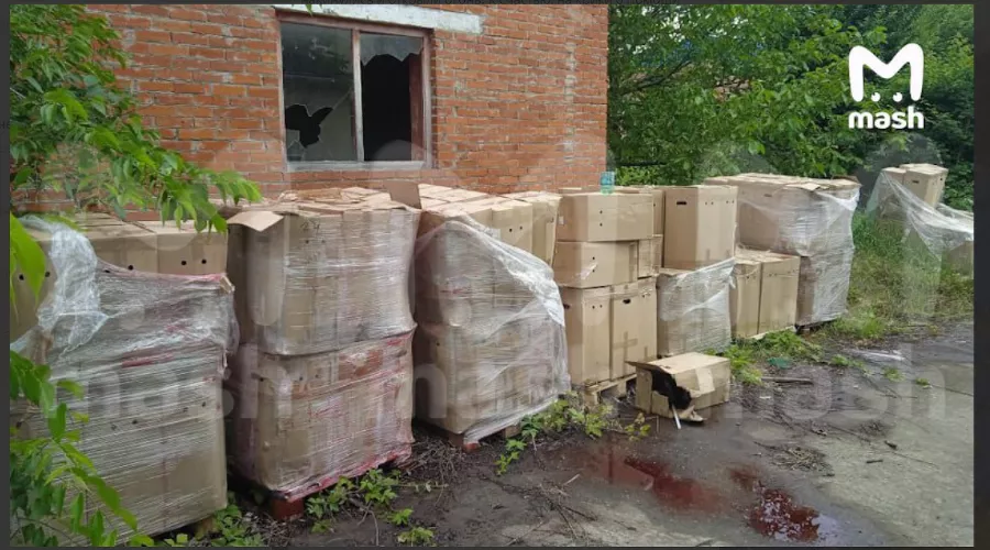  &copy;&nbsp;Скриншот из телеграм-канала &laquo;Mash&raquo; https://t.me/breakingmash/44952