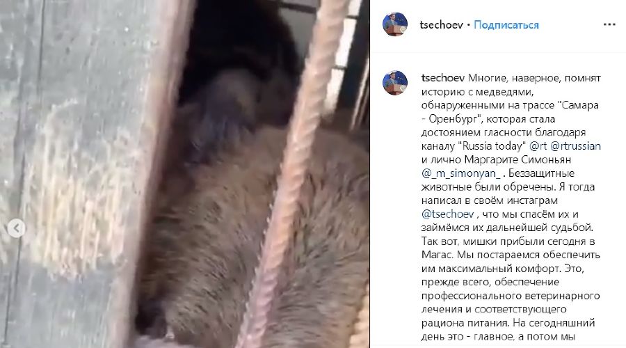  © Скриншот видео из аккаунта Беслана Цечоева, www.instagram.com/tsechoev
