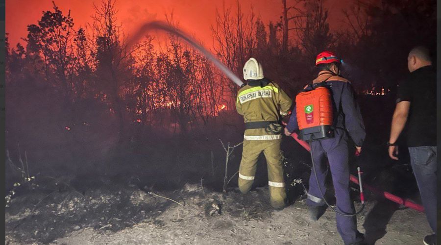  © Скриншот из телеграм-канала мэра Геленджика Алексея Богодистова https://t.me/BogodistovAA/3130