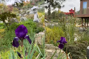  &copy;&nbsp;Скриншот фото из телеграм-канала &laquo;парк Краснодар&raquo; https://t.me/parkkrd/2820