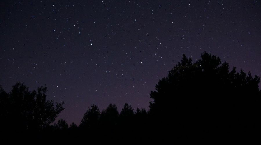  &copy;&nbsp;Фото пользователя Michal Kryński с сайта pixabay.com