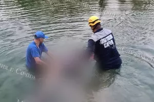  &copy;&nbsp;Фото пресс-службы МКУ &laquo;Служба спасения города Сочи&raquo;