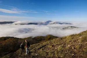 Гора Собер-Баш &copy;&nbsp;Фото Елены Синеок, Юга.ру