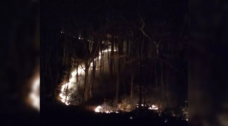 Пожар в районе поселка Планческая Щель &copy;&nbsp;Фото &laquo;Кубанских новостей&raquo;