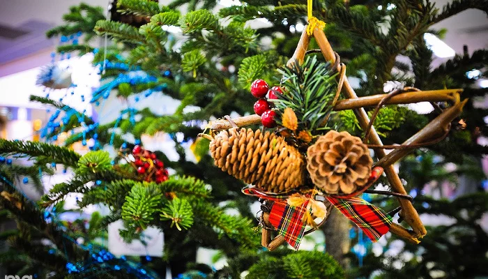  &copy;&nbsp;Елена Синеок. ЮГА.ру