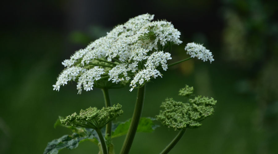  &copy;&nbsp;Фото dejavudesigns, сайт freepik.com