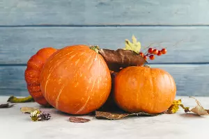  &copy;&nbsp;Фото freepik, сайт freepik.com