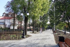  © Фото пресс-службы администрации Краснодара