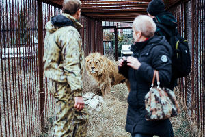  © Денис Яковлев, ЮГА.ру