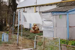  &copy;&nbsp;Фото Дениса Яковлева, Юга.ру