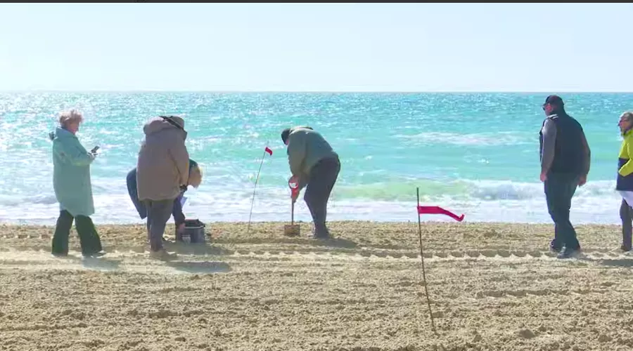  &copy;&nbsp;Скриншот из телеграм-канала оперативного штаба Краснодарского края https://t.me/opershtab23/15356