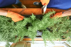  &copy;&nbsp;Фото Константина Ракеты, freepik.com