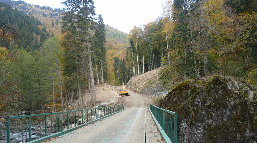  &copy;&nbsp;Фото с сайта Всемирного фонда охраны дикой природы, wwf.ru