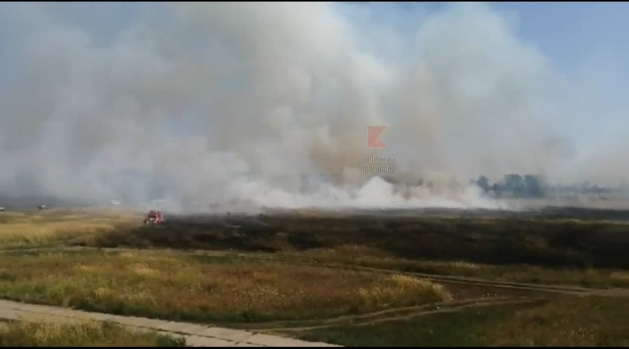  © Скриншот из видео паблика «Типичный Краснодар», https://vk.com/typical_krd