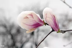  &copy;&nbsp;Алёна Живцова, ЮГА.ру