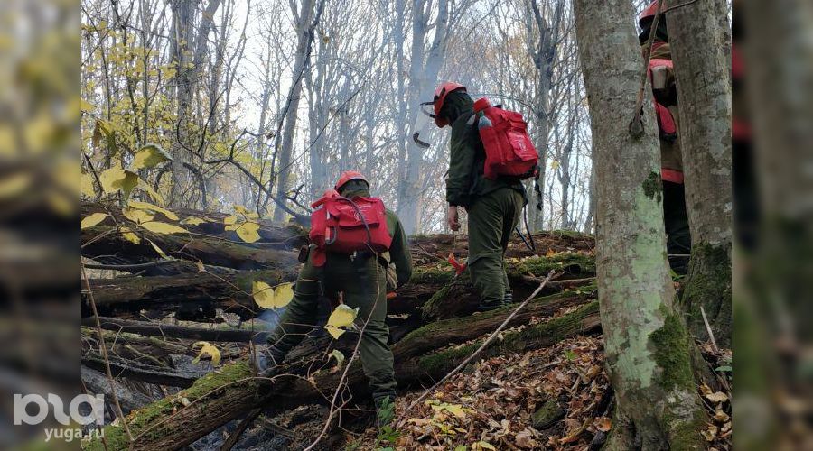  © Фото Алексея Щербины для Юга.ру