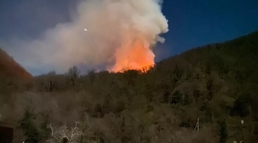  &copy;&nbsp;Фото из ВК-паблика &laquo;ЧП Сочи&raquo;, vk.com/chpsochi