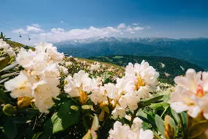  &copy;&nbsp;Фото пресс-службы курорта &laquo;Роза Хутор&raquo;