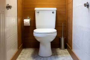 унитаз &copy;&nbsp;Сгенерировано с помощью нейросети shedevrum