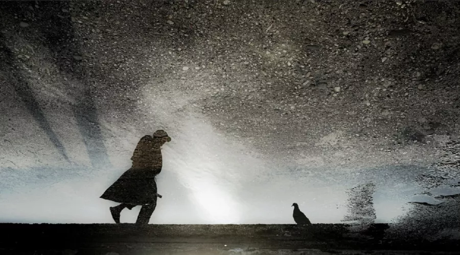  &copy;&nbsp;Фото Николая Матренко