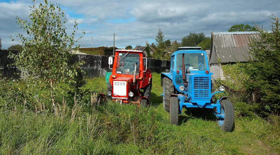  &copy;&nbsp;Фото с сайта pixabay.com