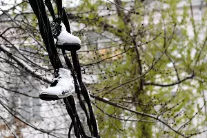  &copy;&nbsp;Фото Алены Живцовой, Юга.ру