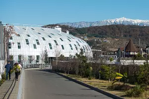  &copy;&nbsp;Фото Елены Синеок, Юга.ру