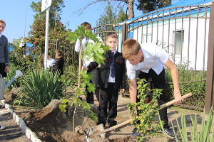  © Фото пресс-службы администрации Тбилисского района