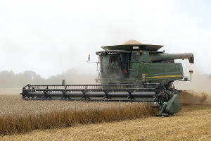 Уборка урожая пшеницы на Кубани © Николай Хижняк, ЮГА.ру