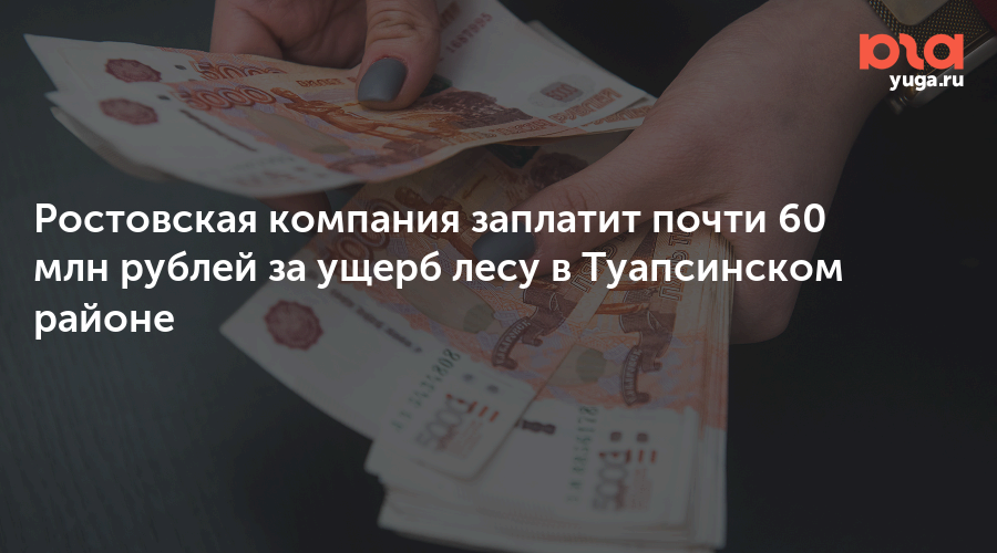 Ростовская компания заплатит почти 60 млн рублей за ущерб лесу в Туапсинском районе