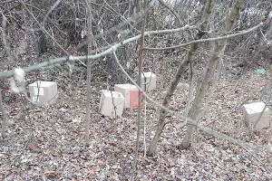  &copy;&nbsp;Фото из паблика &laquo;Типичный Краснодар&raquo;