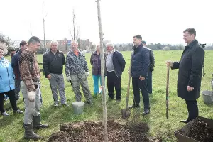  &copy;&nbsp;Предоставлено администрацией Прикубанского округа