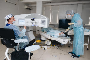  &copy;&nbsp;Фото Дениса Яковлева, Юга.ру