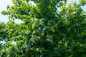  &copy;&nbsp;Фото Дмитрия Пославского, Юга.ру