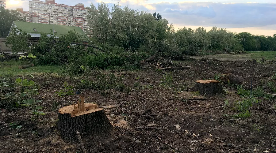  &copy;&nbsp;Фото Тимура Рыжкова, Юга.ру