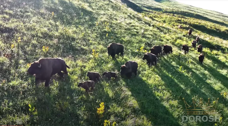  &copy;&nbsp;Скриншот ютуб-канала sochimountain