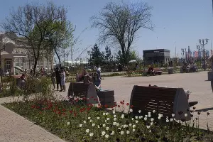  &copy;&nbsp;Фото Марии Строителевой, Юга.ру