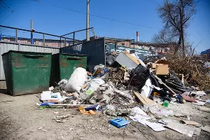 Проблемы с вывозом мусора в Краснодаре &copy;&nbsp;Фото Елены Синеок, Юга.ру