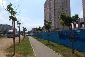  &copy;&nbsp;Фотографию Юга.ру предоставила Яна Антонова