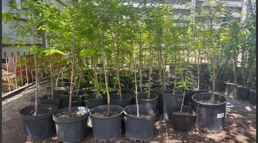  &copy;&nbsp;Скриншот из телеграм-канала депутата ЗСК Алексея Аксенова https://t.me/aksenov_aleksei_a/3475