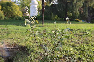 © Фото пресс-службы Сочинского национального парка