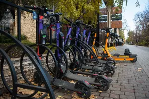  &copy;&nbsp;Фото Елены Синеок, Юга.ру