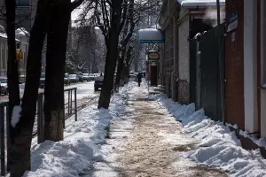  &copy;&nbsp;Фото Елены Синеок, Юга.ру