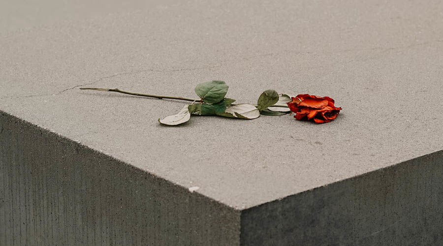  © Фото с сайта unsplash.com