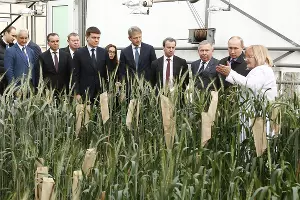 Владимир Путин на Всероссийском форуме сельхозпроизводителей &copy;&nbsp;Фото Юга.ру