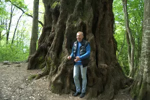  &copy;&nbsp;Фото пресс-службы Сочинского нацпарка