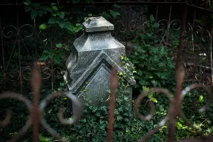 Еврейское кладбище Краснодара &copy;&nbsp;Фото Елены Синеок, Юга.ру