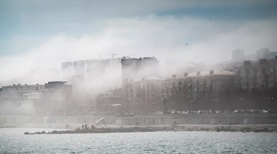  &copy;&nbsp;фото Tateshi Yokotaishi https://vk.com/sakanoid