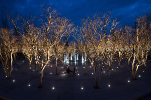 Парк «Краснодар» &copy;&nbsp;Фото Елены Синеок, Юга.ру